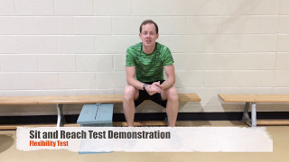 How to do the Sit and Reach Test  Height and Weight Demonstration [upl. by Theodor]