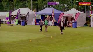 Relay for Life Donegal 2024  Livestream [upl. by Eiduam]