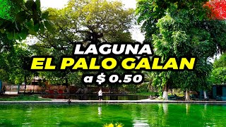 USULUTAN EL SALVADOR Laguna EL PALO GALAN 🏖️ [upl. by Anekam]