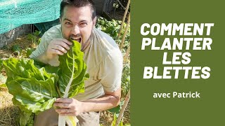 POTAGER comment planter blettepoiréebette ASTUCE et CONSEIL [upl. by Lovmilla306]