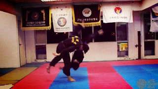 Hapkido VS Taekwondo [upl. by Asquith]