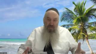 Parachat Chelah par Rav Moshé Niddam [upl. by Siladnerb]