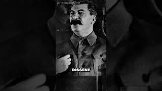 Joseph Stalin The Rise and Rule of a Soviet Dictator historicalfacts history shorts facts [upl. by Groark839]