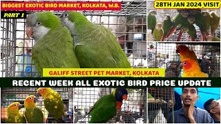 Recent Week All Exotic Bird Price Update  Galiff Street Cheapest Exotic Bird Market  28th Jan 2024 [upl. by Massey]