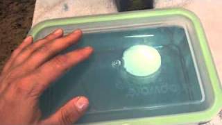 COSMETOLOGY SANITATION DISINFECTION demo HOW TO ESTABLISH THE DISINFECTANT TRAY [upl. by Marler]