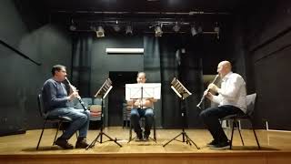 J BOUFFIL DEUXIEME TRIO EN RE para Clarinetes en sib op7 nº2 I Allegro non troppo [upl. by Eisiam]