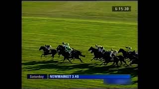 2010 Totesportcom Cesarewitch Handicap [upl. by Ennovoj492]