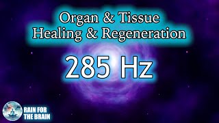 285 Hz Solfeggio Frequency  Organ and Tissue Regeneration health life asmr positivevibes [upl. by Maia]