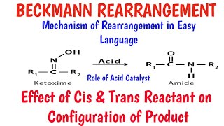 Beckmann rearrangement with stereochemistry [upl. by Allis]