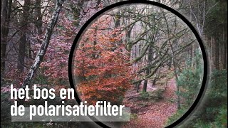 Het BOS en de POLARISATIEFILTER  LANDSCHAPSFOTOGRAFIE in AMERONGEN [upl. by Esinnej]