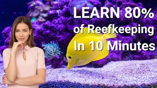 Saltwater Aquarium Basics In 10 Minutes [upl. by Garlanda933]