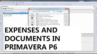 PPM P6  12 Expenses and documents in Primavera P6 [upl. by Hilde]