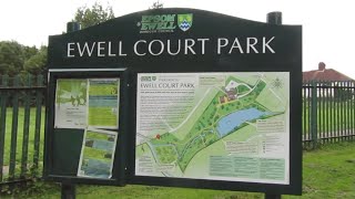 A drones view of Ewell Court Park Epsom Surrey…15th September 2024 [upl. by Breger]