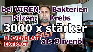 Olivenblattextrakt 3000 mal wirksamer als Olivenöl Viren BakterienKrebs [upl. by Luana]