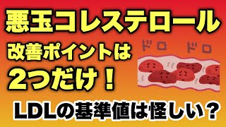 【LDL】悪玉コレステロールを下げる方法 そのコレステロール値はホントに高いのか [upl. by Lemon673]