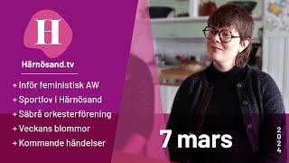 Härnösandtv  7 mars 2024 [upl. by Aihsema]