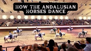 How The Andalusian Horses Dance  The Royal Andalusian School of Equestrian Art Spain [upl. by Svirad]