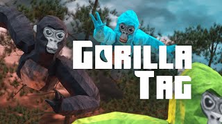 Gorilla Tag Store Launch  Meta Quest [upl. by Nancy971]