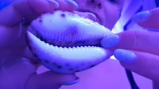 ASMR PIERRES MAGIQUES PENDULE EXERCICES VISUELS COQUILLAGE SUR TON OREILLE [upl. by Nonnarb]