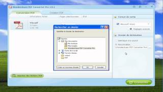 Comment faire pour convertir PDF en Doc sur Mac Windows PC [upl. by Gershon]