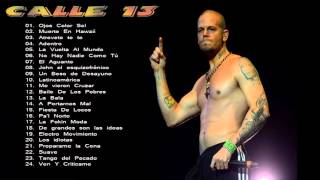 Mix Calle 13 Sus Mas Grandes Exitos 24 Grandes Exitos Enganchados [upl. by Eatnuahs]