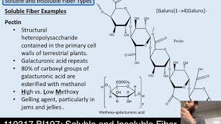 Lecture 21 110317 Soluble and Insoluble Fiber [upl. by Osicnarf572]