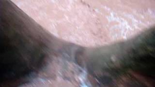 Buckskin Gulch  Flash Flood  2 The Flood [upl. by Stochmal289]