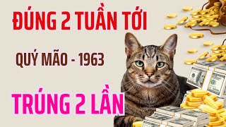 Bùng Nổ Tài Chính  Quý Mão 1963  Trúng Đậm 2 Lần  Giàu  Đúng 2 Tuần Đầu Tháng 42024 ÂL [upl. by Yelha]