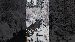 Winter River Scene Winter Park Colorado 9000ft nature relaxing relaxingmusic [upl. by Atiran789]