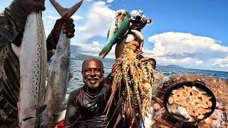 can all of this cause from overfishing are the fish just migrate🤔 big king fish Spanish mackerel [upl. by Hamachi7]