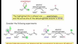 How Chiral Objects Distinguish Enantiotopic Groups [upl. by Anire]