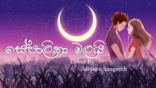 Sepalika Malai සේපාලිකා මලයි Cover By Miyuru Sangeeth [upl. by Dimphia153]