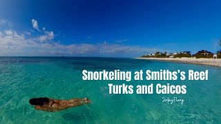 Beach and Snorkel Day at Smith’s Reef in Turks and Caicos [upl. by Nellek413]