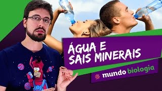 🧬 Bioquímica 25 Água e Sais Minerais  Biologia  ENEM [upl. by Zullo977]