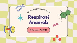 RESPIRASI ANAEROB  By kelompok Amilase  XII IPS 2  SMAN 3 TAMBUN SELATAN [upl. by Coleville]