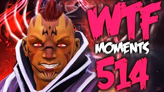 Dota 2 WTF Moments 514 [upl. by Rives938]