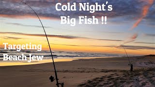 MULLOWAY  COLD NIGHTS BIG FISH  Ep 65 TARGETING BEACH JEW [upl. by Thorpe]