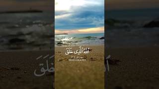 quotIt is Allah who created the heavens and the earthquot  quran quranrecitation shorts [upl. by Halihs712]