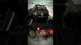 Flying Scotsman vs hogwarts castle edit hogwartsexpress flyingscotsman [upl. by Yantruoc]