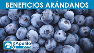 8 Propiedades y Beneficios de los Arándanos  QueApetito [upl. by Sell]