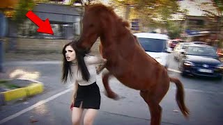 30 Dangerious Horse Kicks Moments Caught on Camera [upl. by Spector]