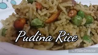 Pudina rice in tamil  புதினா சாதம்  Mint rice in tamil [upl. by Karrah]