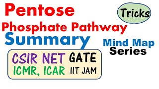 Pentose phosphate pathway biochemistry [upl. by Kayne]