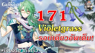 จุดเก็บ 171 ดอก ✦ Violetgrass รอบเดียวอัพเต็ม【ของอัพ Baizhu】 Genshin Impact [upl. by Shulock812]