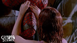 The Upside Down Kiss MJ  Peter  SpiderMan 2002 [upl. by Rap]