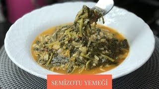 Semizotu Yemeği Tarifi  Naciye Kesici  Yemek Tarifleri [upl. by Ydok915]