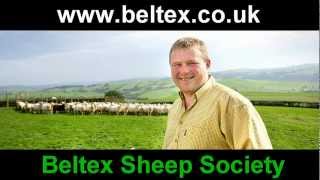 Beltex Sheep Society Butchery Video [upl. by Avery]