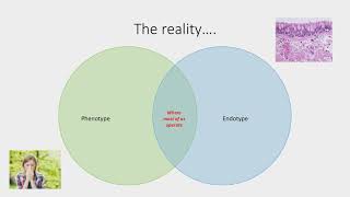 Phenotypes of Asthma [upl. by Haodnanehs]