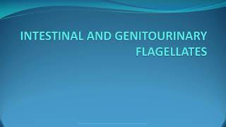 Intestinal and genitourinary flagellates [upl. by Solis]