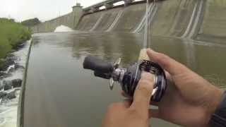 Saugeye and Buffalo Carp Fishing at Hoover Dam [upl. by Plantagenet]